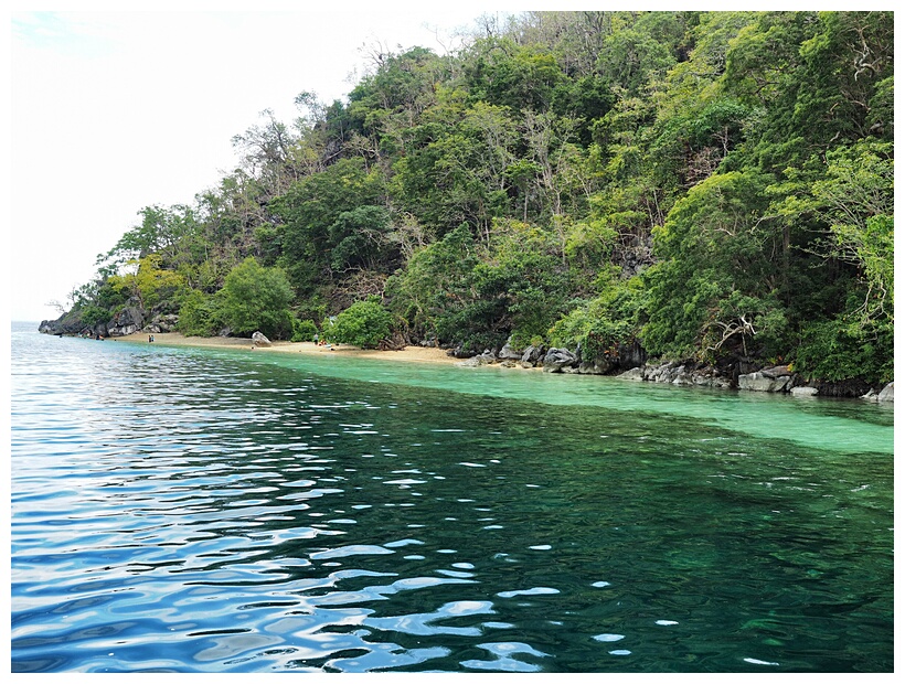 Coral Garden