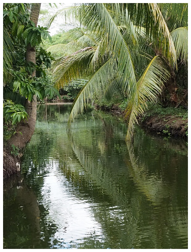 Loboc River Resort
