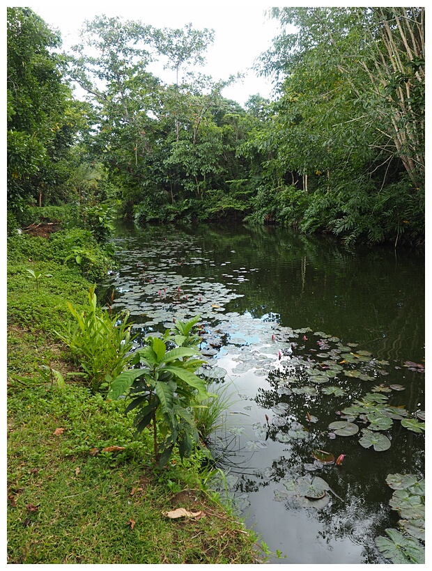Loboc River Resort