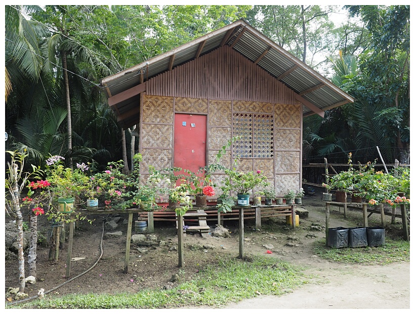 Nipa Hut