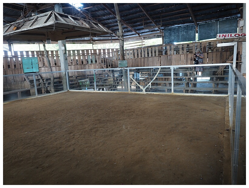 Cockpit Arena
