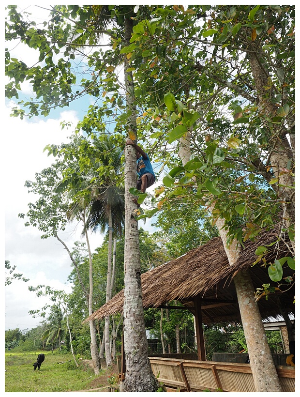 Climbing