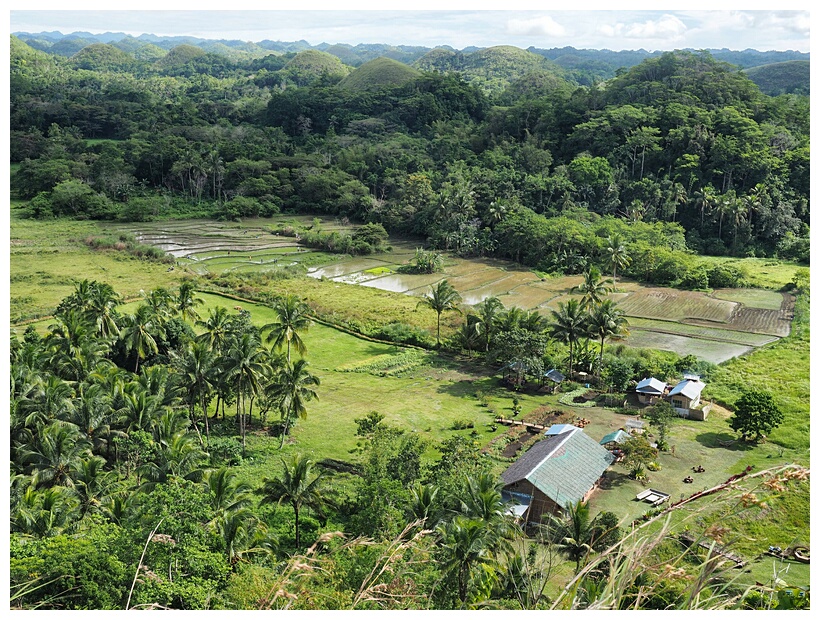 Chocolate Hills