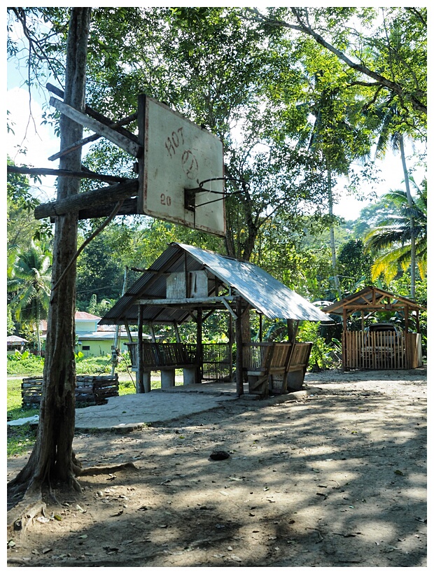 Basketball Court