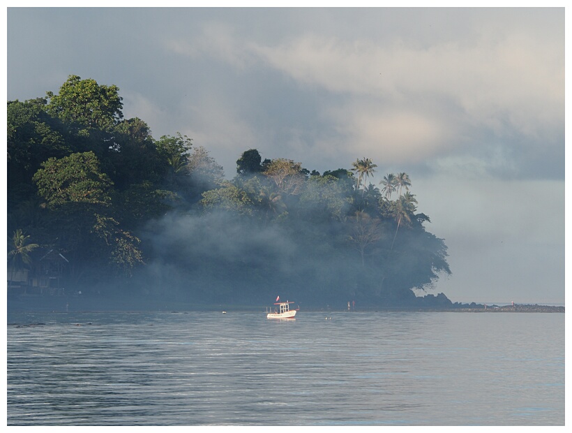 Misty Morning