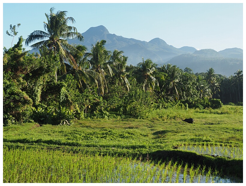 Camiguin Island