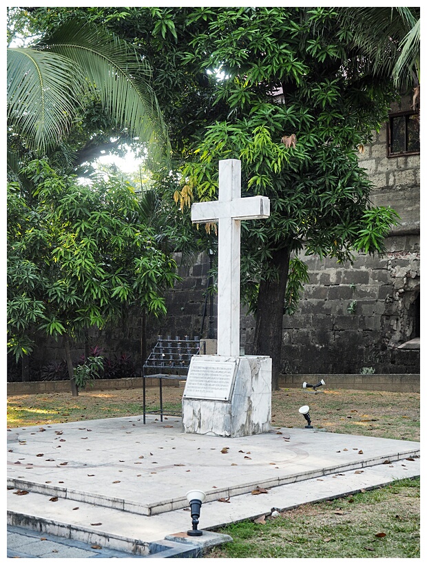 White Cross