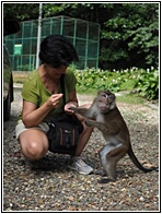 Rajah Sikatuna National Park