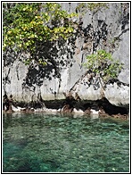 Twin Lagoons