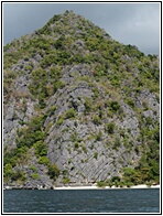 Jagged Landscape