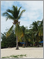 Pass Island