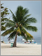 Pass Island