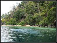 Coral Garden