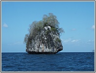 The Rock