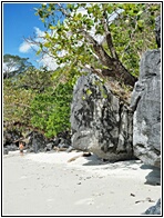 Paradise Beach
