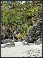 Paradise Beach