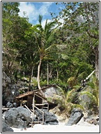 Paradise Beach