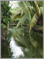 Loboc River Resort