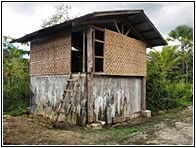 Nipa Hut