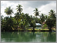Loboc River