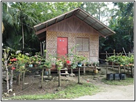 Nipa Hut