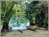 Loboc River