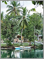 Loboc River
