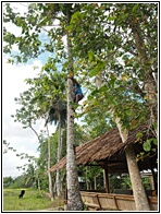 Climbing