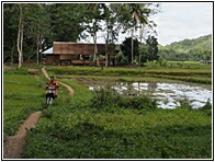 Bohol Landscape