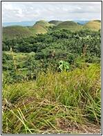 Chocolate Hills