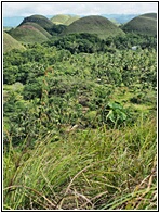 Chocolate Hills