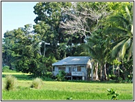 Bohol Landscape