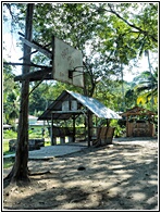 Basketball Court
