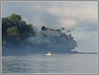 Misty Morning