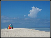 White Island