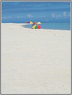 White Island