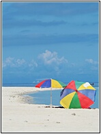White Island