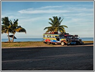 Jeepneys