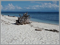Mantigue Island