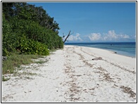 Mantigue Island