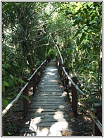 Nature Walk