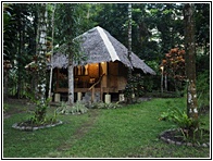 Nypa Style Resort