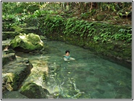 Ardent Hot Springs