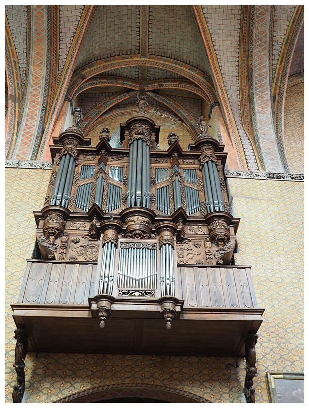 Organ