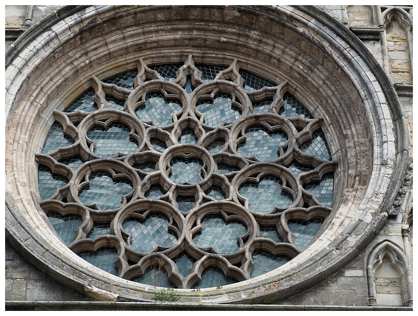 Rosette