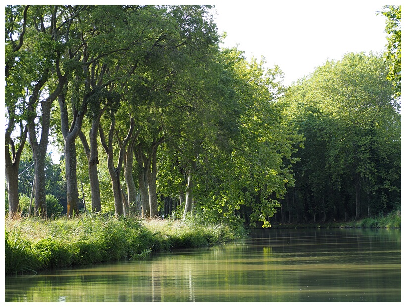Canal du Midi