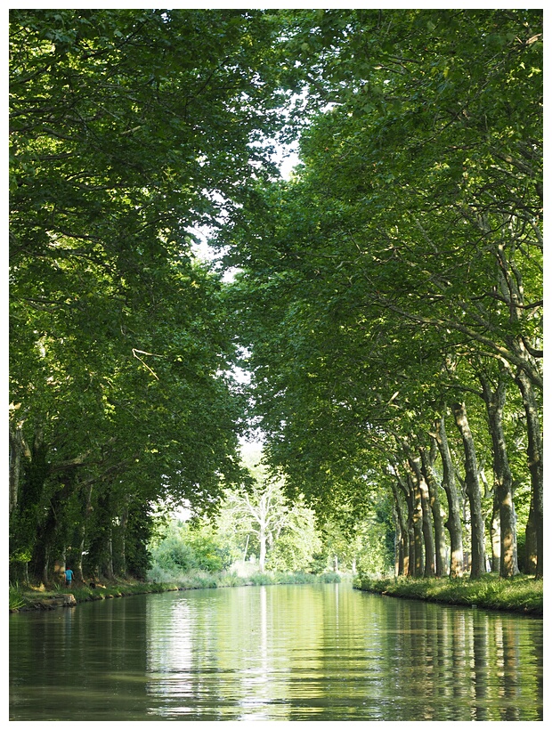 Canal du Midi