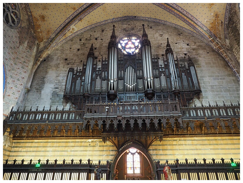 Organ