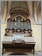 Organ