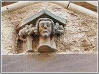 Head